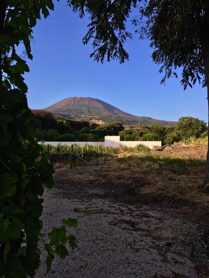 Villa Mazza Al Vesuvio Torre del Greco Eksteriør bilde